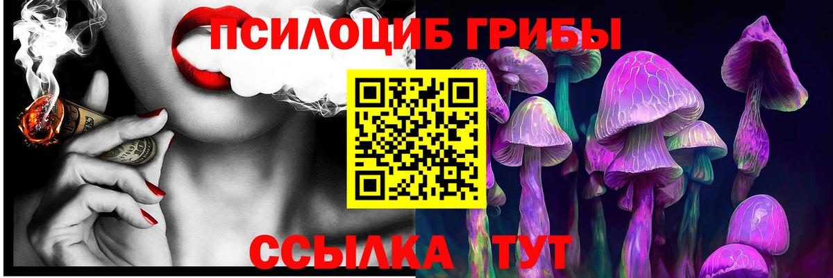 Галлюциногенные грибы Psilocybe Озёрск